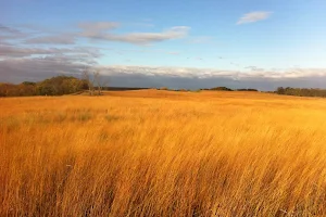 Upper Sioux Agency State Park image