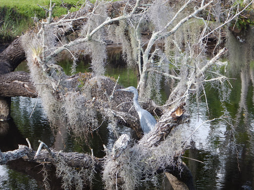 Canoe & Kayak Rental Service «Sea Sup Go Paddle & Surf Company», reviews and photos, 40 Royal Palm Pointe, Vero Beach, FL 32960, USA