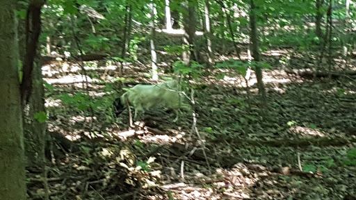 Nature Preserve «Spencer Lake Wildlife Area», reviews and photos, 5852 River Corners Rd, Spencer, OH 44275, USA