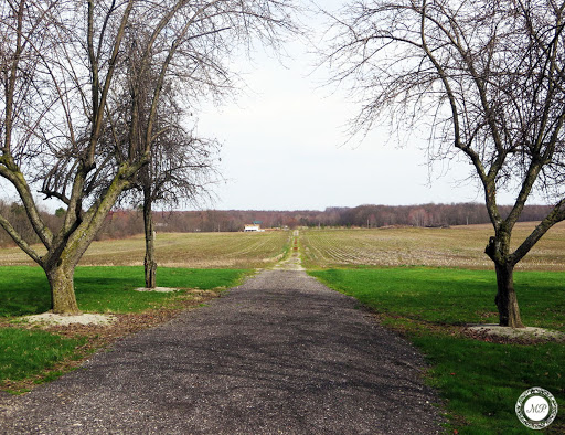 Home Goods Store «Monica Potter Home», reviews and photos, 12724 OH-88, Garrettsville, OH 44231, USA