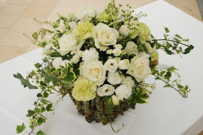 Comments and reviews of Floral Dimensions Services