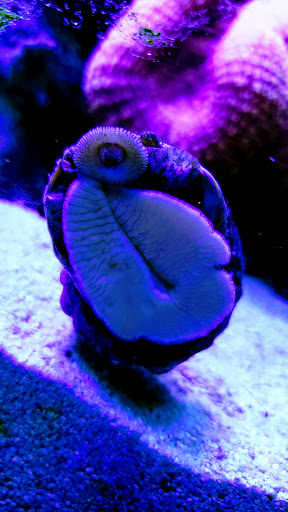 Pet Store «Fin-N-Feather», reviews and photos, 2931 F St, Eureka, CA 95501, USA