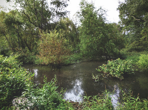 Park «Cochran Shoals - Powers Island», reviews and photos, 5450 Interstate N Pkwy, Sandy Springs, GA 30328, USA