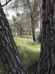 Villalgordo del Júcar 02636, Albacete, España