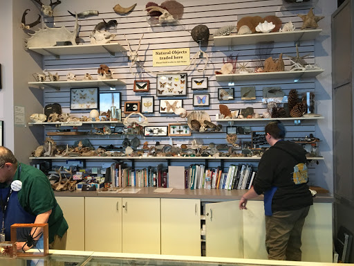 Tourist Attraction «Science Museum of Minnesota», reviews and photos, 120 W Kellogg Blvd, St Paul, MN 55102, USA