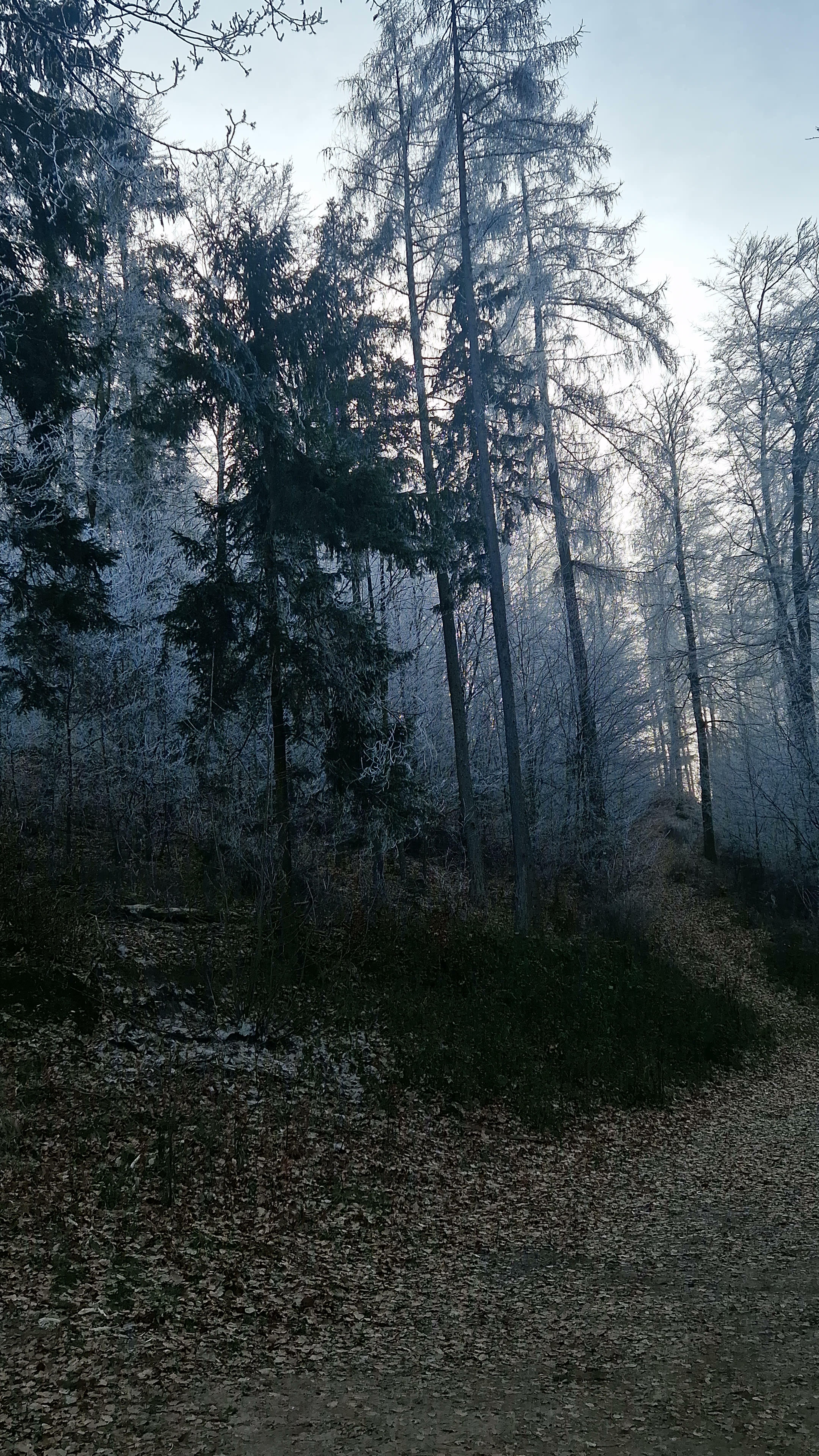 Photo n° 35 de l'avis de Beno. fait le 14/01/2024 à 20:33