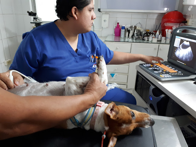 Opiniones de Joe veterinaria en Guayaquil - Veterinario