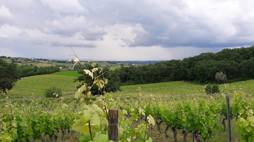 Domaine Les Petits Jardins - Vins de Gaillac à Gaillac