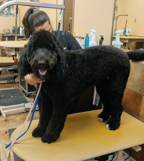 Pet Supply Store «PetSmart», reviews and photos, 181 Wilson Ave, Hanover, PA 17331, USA