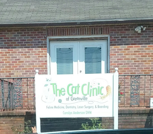 Animal Hospital «The Cat Clinic of Greenville», reviews and photos