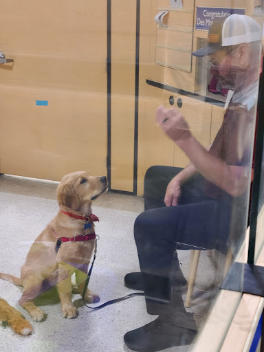 Pet Supply Store «PetSmart», reviews and photos, 5050 SE 14th St, Des Moines, IA 50320, USA