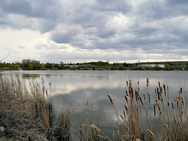 Don Carp Lake - Bicske