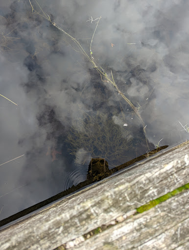 Community Park «Wells Mills County Park», reviews and photos, 905 Wells Mills Rd, Waretown, NJ 08758, USA