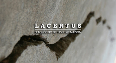 Lacertus à Brest