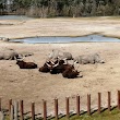 Safaripark Beekse Bergen - Parking ingang