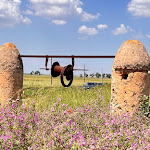 Photo n°2 de l'avis de Charles.u fait le 27/05/2023 à 06:27 sur le  B&B Le Cese - Turismo Rurale à San Giovanni Rotondo