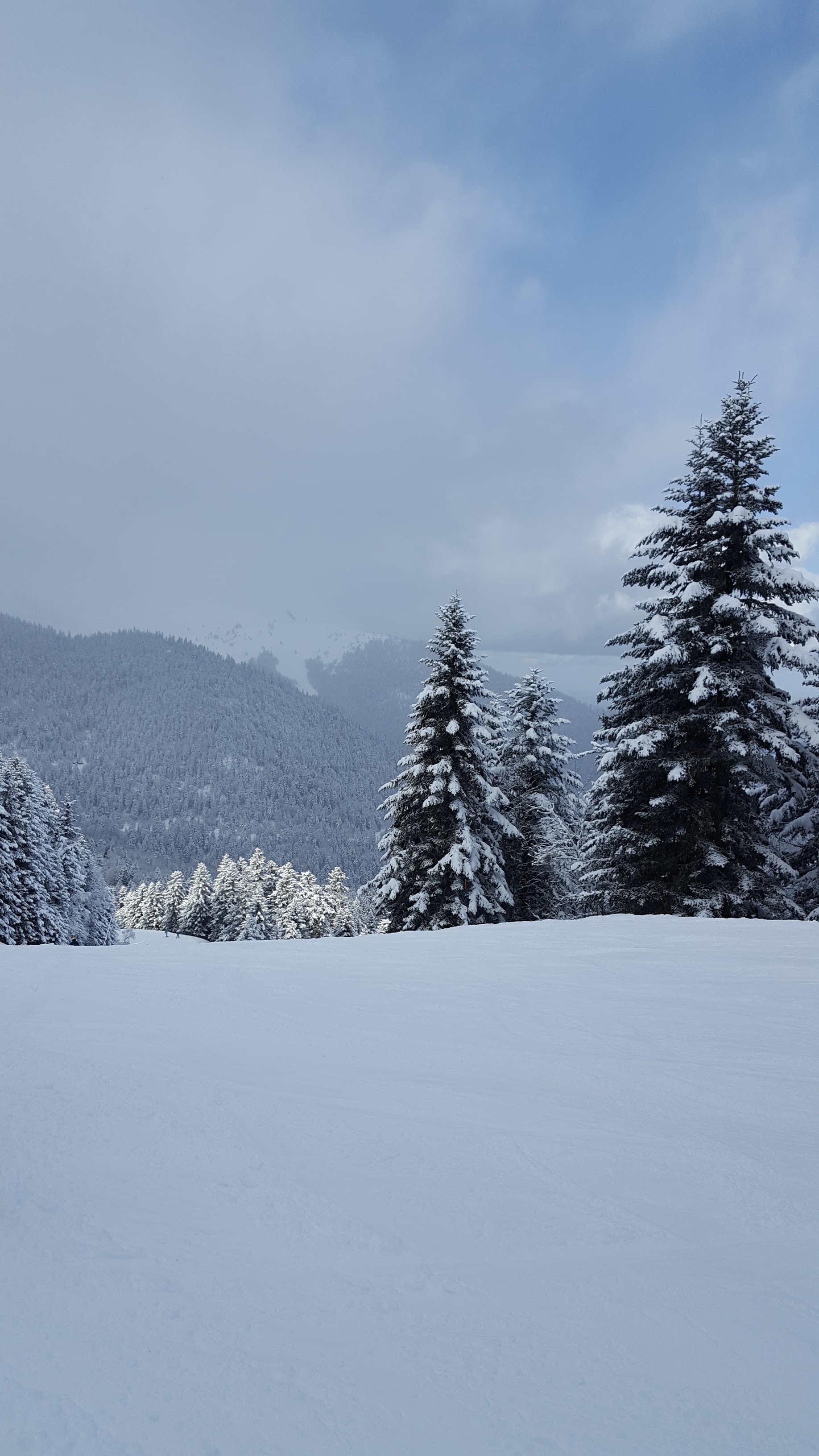 Photo n° 2 de l'avis de Laeti.a fait le 14/02/2018 à 08:31