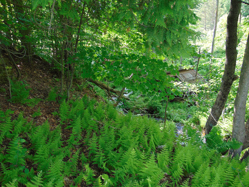 Golf Course «Sullivan Golf Course», reviews and photos, 2514 NY-52, Liberty, NY 12754, USA