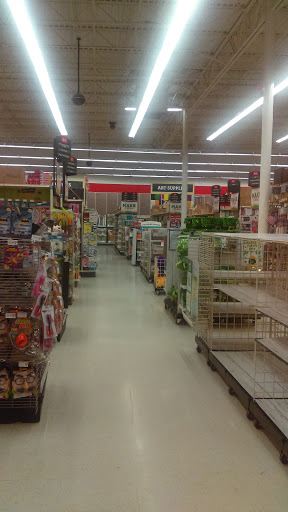 Craft Store «Michaels», reviews and photos, 1200 Market Pl Blvd, Cumming, GA 30041, USA