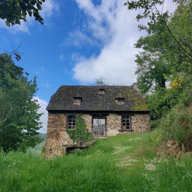 La forêt du Dragon à Murols (Aveyron 12)