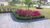 Pedro Moreno Landscaping