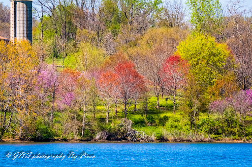 Recreation Center «Go Ape Zip Line & Treetop Adventure - Rock Creek Regional Park», reviews and photos, 6129 Needwood Lake Dr, Rockville, MD 20855, USA