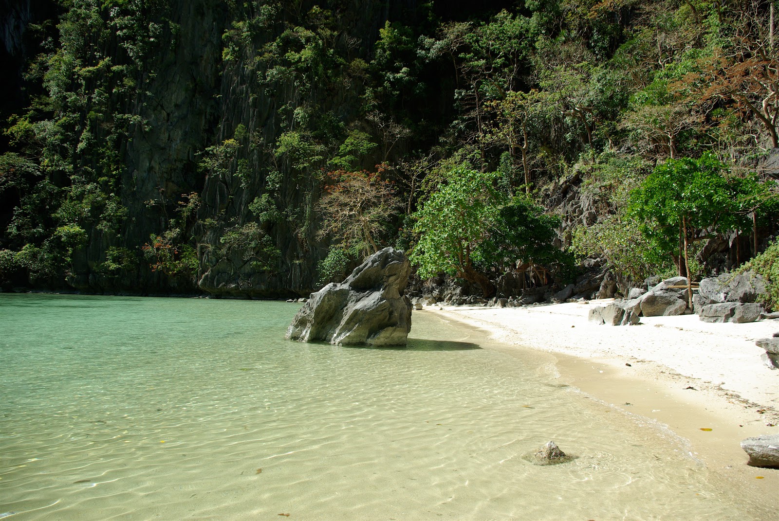 Cadlao Lagoon的照片 带有碧绿色纯水表面