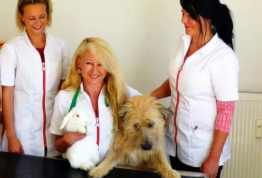 Tierarztpraxis Dr. Carmen Schlechta unter Siegen, Nordrhein-Westfalen