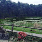 Photo n°7 de l'avis de Elena.e fait le 09/10/2021 à 21:36 sur le  L'Incontro à Meugliano