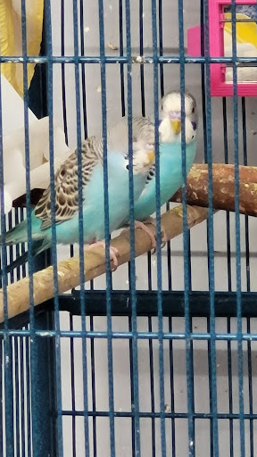 Pet Groomer «Edgewood Pet Center», reviews and photos, 3236 State Rd, Ashtabula, OH 44004, USA