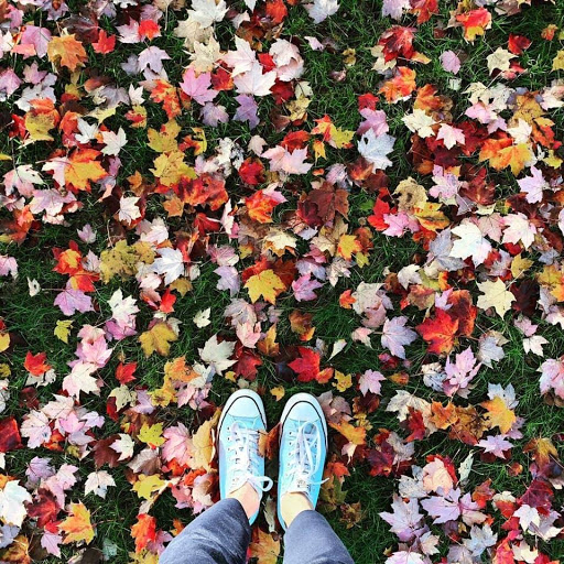 Wellness Center «Wilcox Wellness & Fitness», reviews and photos, 224 Union St, Bangor, ME 04401, USA