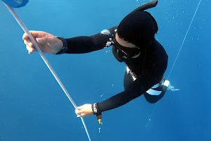 the freedive place image