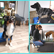 Hundephysiotherapie Unna - Wilmera