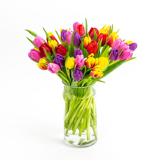 Florist «Green Fresh Florals», reviews and photos, 3785 Fourth Ave, San Diego, CA 92103, USA