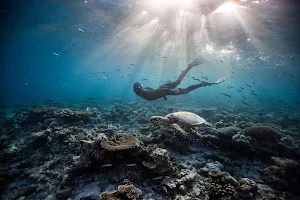 Freediving Penida by Pure image