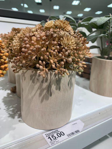 Department Store «Target», reviews and photos, 8900 TX-121, McKinney, TX 75070, USA