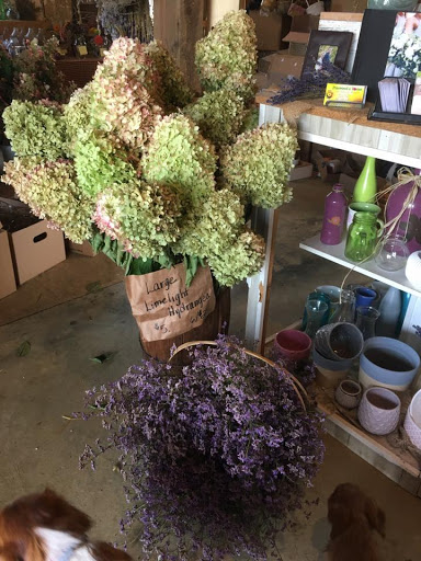 Florist «Pinewood and Posies», reviews and photos, 4547 White Oak Rd, Paradise, PA 17562, USA