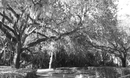 Memorial Park «Fort Caroline National Memorial», reviews and photos, 12713 Ft Caroline Rd, Jacksonville, FL 32225, USA