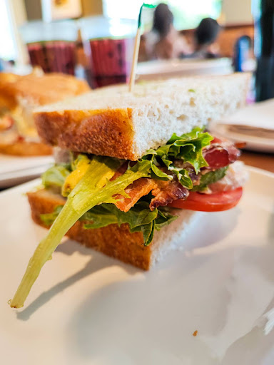 Panera Bread image