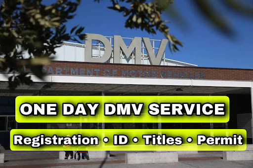 Department of motor vehicles Paradise