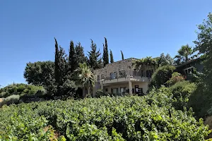 Na'aman Winery יקב נעמן image