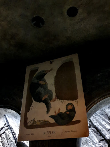 Roller Coaster «Dragon Challenge», reviews and photos, 6000 Universal Blvd, Orlando, FL 32819, USA