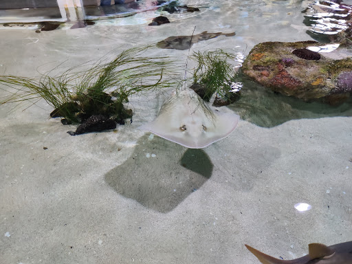 Amusement Center «OdySea in the Desert», reviews and photos, 9500 East Vía de Ventura, Scottsdale, AZ 85256, USA