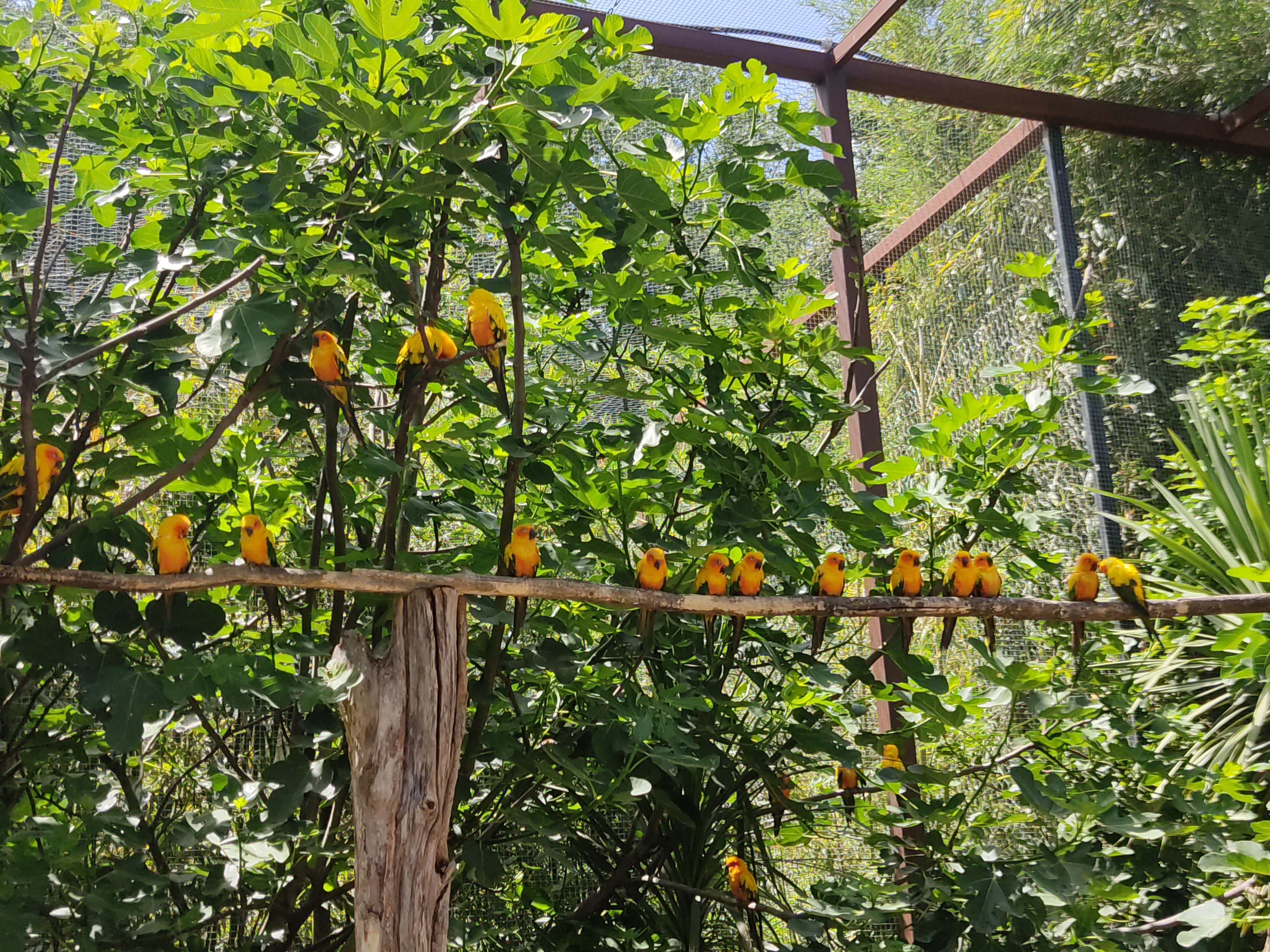 Photo n° 9 de l'avis de David.i fait le 18/11/2019 à 20:29