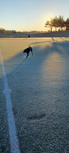 Park «Danehy Park», reviews and photos, 99 Sherman St, Cambridge, MA 02138, USA