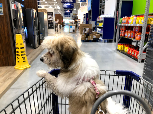 Shopping Mall «Tarpon Mall», reviews and photos, 40952 US-19, Tarpon Springs, FL 34689, USA