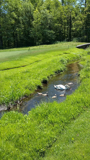 Golf Club «The Creek Club», reviews and photos, 1 Horse Hollow Rd, Locust Valley, NY 11560, USA