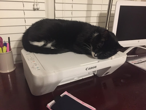 Personal Injury Attorney «John Foy & Associates», reviews and photos