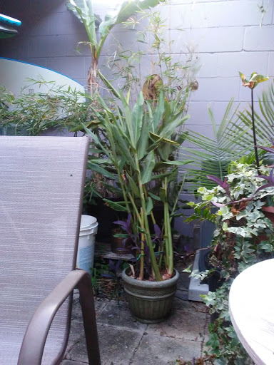 Park «Southside Park», reviews and photos, Southside Park Loop, Beaufort, SC 29902, USA