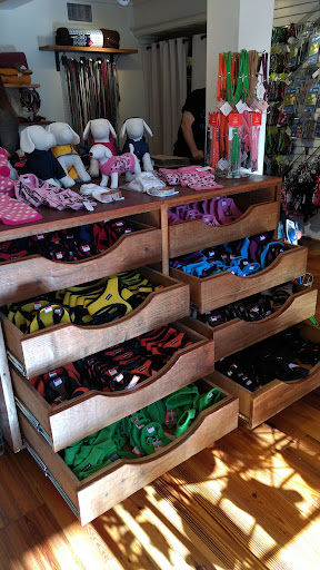 Pet Supply Store «Diggidy Dog», reviews and photos, Ocean Ave & Monte Verde St, Carmel-By-The-Sea, CA 93923, USA
